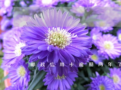 邮政信用卡逾期两年了问网友 邮政信用卡逾期两年了问网友