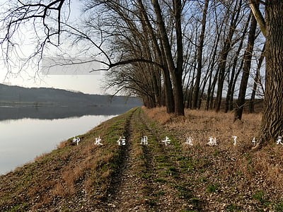 邮政信用卡逾期了4天 邮政信用卡逾期了4天