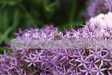 邮政信用卡逾期了怎么跟银行协商解决 邮政信用卡逾期了怎么跟银行协商解决
