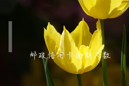 邮政信用卡逾期人数 邮政信用卡逾期人数