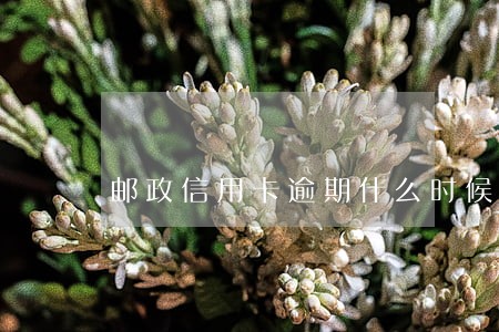 邮政信用卡逾期什么时候上报 邮政信用卡逾期什么时候上报