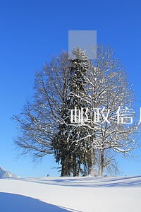 邮政信用卡逾期什么电话催收 邮政信用卡逾期什么电话催收