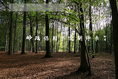 邮政信用卡逾期停卡了 邮政信用卡逾期停卡了