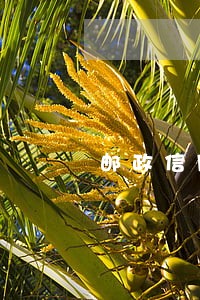 邮政信用卡逾期催收威胁 邮政信用卡逾期催收威胁