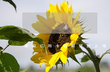 邮政信用卡逾期催款上海