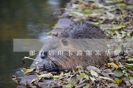 邮政信用卡逾期冻结解冻 邮政信用卡逾期冻结解冻
