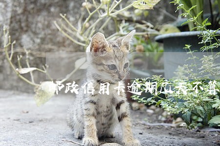 邮政信用卡逾期几天不算违约
