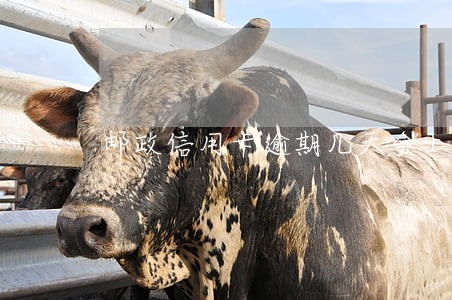 邮政信用卡逾期几天会上征信吗 邮政信用卡逾期几天会上征信吗