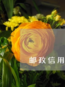 邮政信用卡逾期几天会被锁定