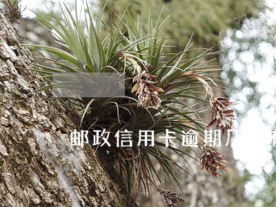 邮政信用卡逾期几天有影响没 邮政信用卡逾期几天有影响没