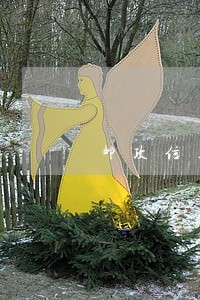 邮政信用卡逾期划扣 邮政信用卡逾期划扣