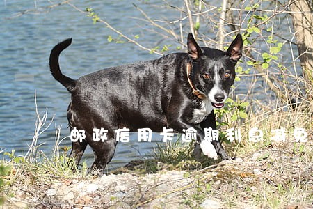 邮政信用卡逾期利息减免掉吗