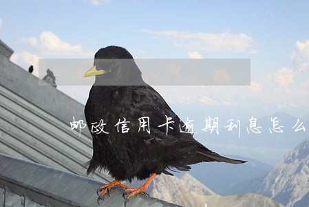 邮政信用卡逾期利息怎么查 邮政信用卡逾期利息怎么查