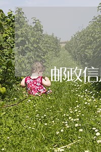 邮政信用卡逾期利息怎么算 邮政信用卡逾期利息怎么算