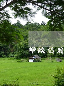 邮政信用卡逾期利息是多少 邮政信用卡逾期利息是多少