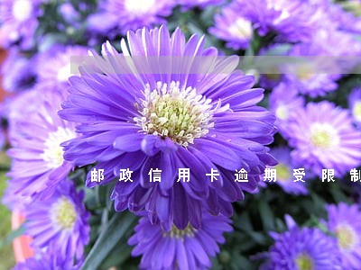 邮政信用卡逾期受限制怎么解除