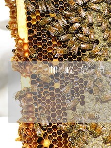 邮政信用卡逾期可以减免利息吗 邮政信用卡逾期可以减免利息吗