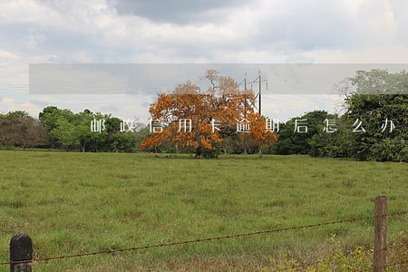 邮政信用卡逾期后怎么办 邮政信用卡逾期后怎么办
