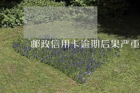 邮政信用卡逾期后果严重吗 邮政信用卡逾期后果严重吗