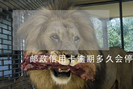 邮政信用卡逾期多久会停卡