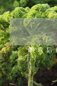 邮政信用卡逾期多久能恢复征信