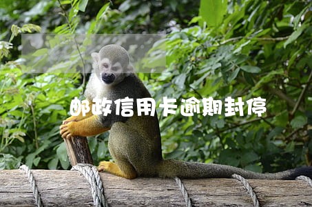 邮政信用卡逾期封停