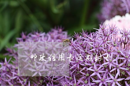 邮政信用卡逾期封卡 邮政信用卡逾期封卡