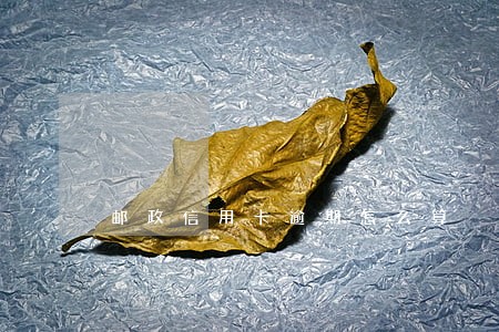 邮政信用卡逾期怎么算 邮政信用卡逾期怎么算