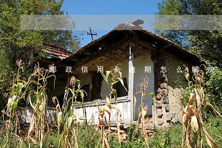 邮政信用卡逾期怎么解决 邮政信用卡逾期怎么解决