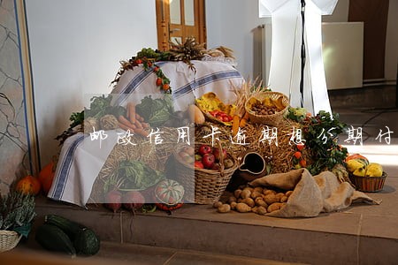 邮政信用卡逾期想分期付款吗 邮政信用卡逾期想分期付款吗