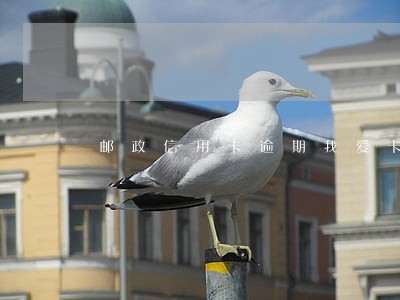 邮政信用卡逾期我爱卡 邮政信用卡逾期我爱卡