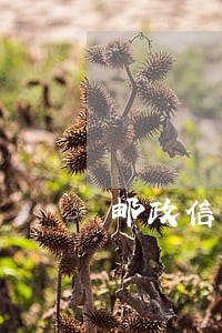 邮政信用卡逾期扣滞纳金 邮政信用卡逾期扣滞纳金