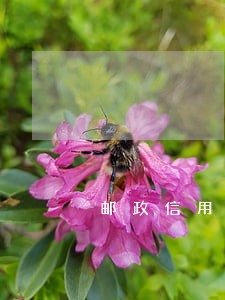 邮政信用卡逾期能办储蓄卡么 邮政信用卡逾期能办储蓄卡么
