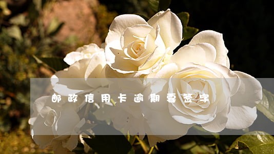 邮政信用卡逾期要签字