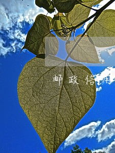 邮政信用卡逾期计算器