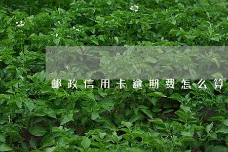 邮政信用卡逾期费怎么算 邮政信用卡逾期费怎么算