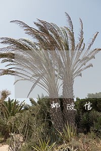 邮政信用卡逾期超过三个月 邮政信用卡逾期超过三个月