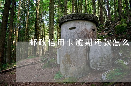邮政信用卡逾期还款怎么还