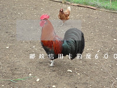 邮政信用卡额度6000逾期