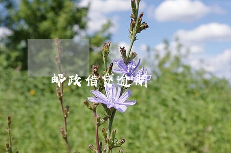 邮政借贷逾期