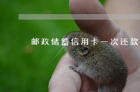 邮政储蓄信用卡一次还款逾期 邮政储蓄信用卡一次还款逾期