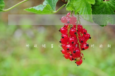 邮政储蓄信用卡容时逾期 邮政储蓄信用卡容时逾期
