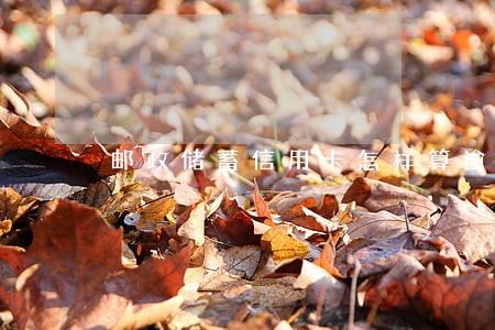 邮政储蓄信用卡怎样算逾期 邮政储蓄信用卡怎样算逾期