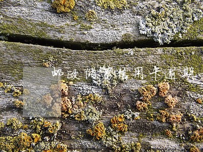 邮政储蓄信用卡逾期一天会怎样 邮政储蓄信用卡逾期一天会怎样