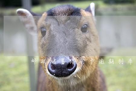 邮政储蓄信用卡逾期利率 邮政储蓄信用卡逾期利率