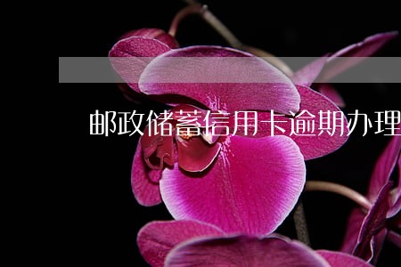 邮政储蓄信用卡逾期办理分期 邮政储蓄信用卡逾期办理分期