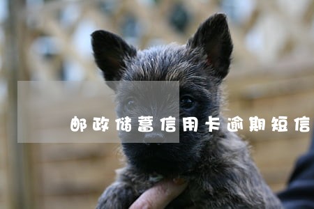 邮政储蓄信用卡逾期短信