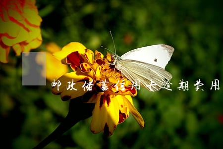 邮政储蓄信用卡逾期费用减免