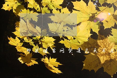 邮政储蓄网贷通几天算逾期 邮政储蓄网贷通几天算逾期