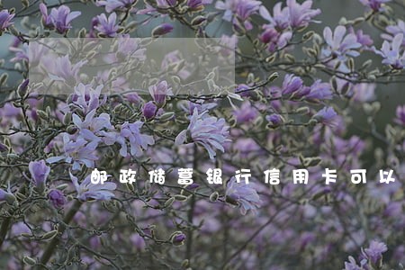 邮政储蓄银行信用卡可以逾期吗 邮政储蓄银行信用卡可以逾期吗